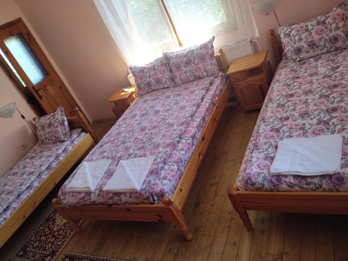 Стаи За Гости Дора Koprivshtitsa Camera foto