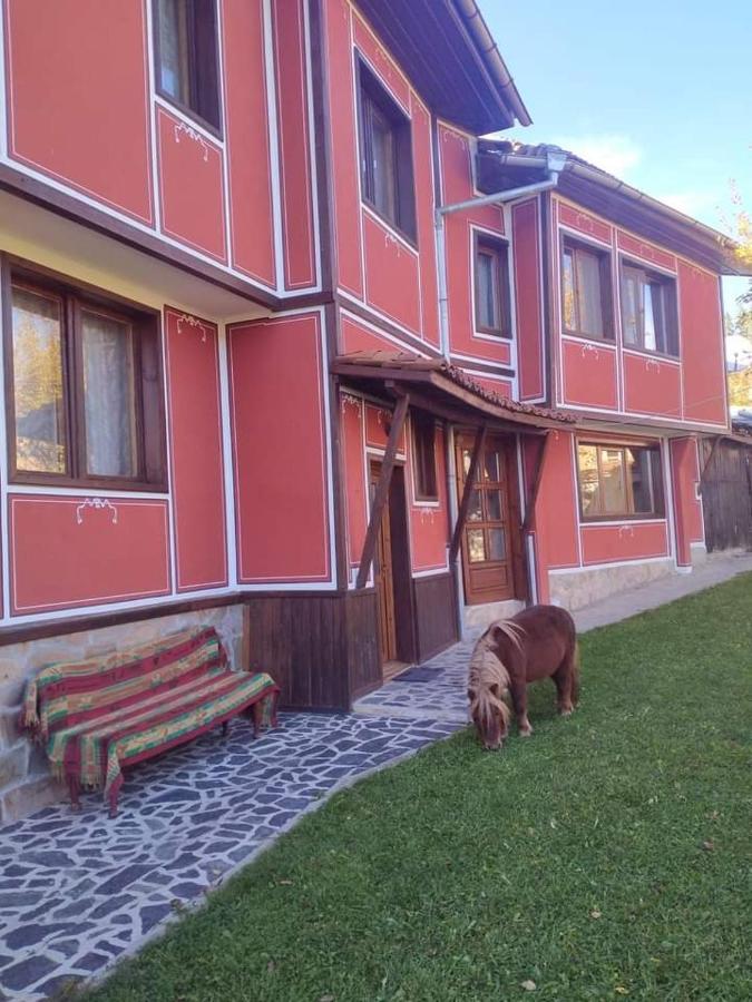 Стаи За Гости Дора Koprivshtitsa Esterno foto